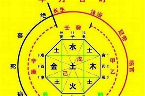 用神 金|八字喜用神是什么 八字喜用神如何确定